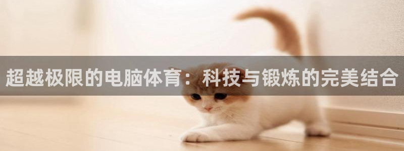 超越极限的电脑体育：科技与锻炼的完美结合