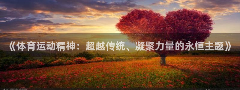 《体育运动精神：超越传统、凝聚力量的永恒主题》