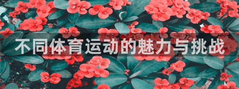 不同体育运动的魅力与挑战