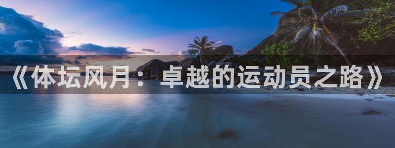 《体坛风月：卓越的运动员之路》