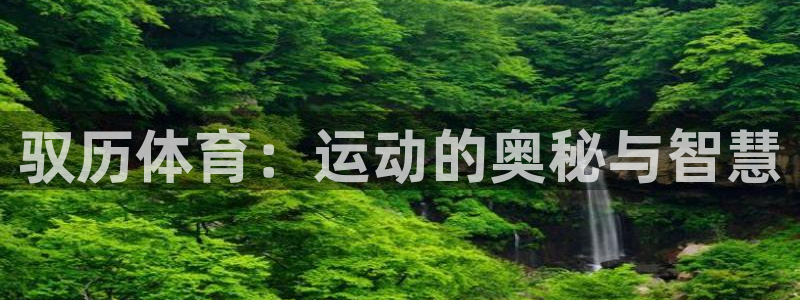 驭历体育：运动的奥秘与智慧