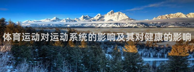 体育运动对运动系统的影响及其对健康的影响