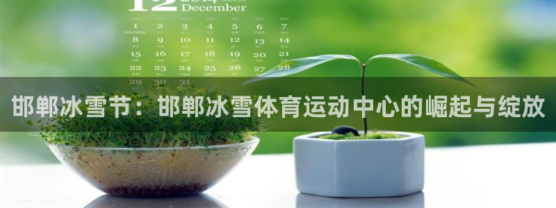 邯郸冰雪节：邯郸冰雪体育运动中心的崛起与绽放