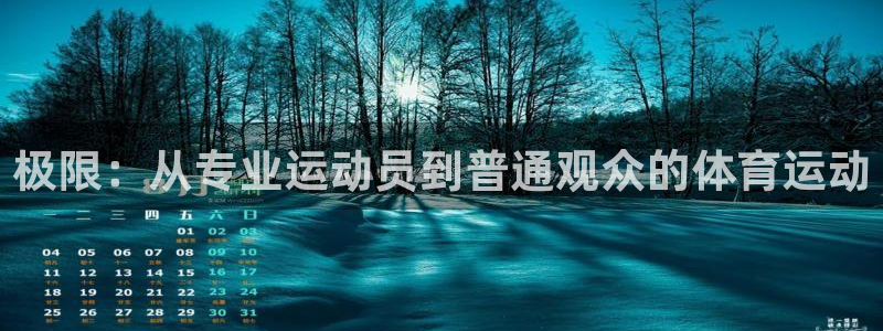 极限：从专业运动员到普通观众的体育运动