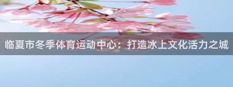 临夏市冬季体育运动中心：打造冰上文化活力之城