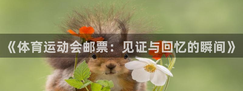 《体育运动会邮票：见证与回忆的瞬间》
