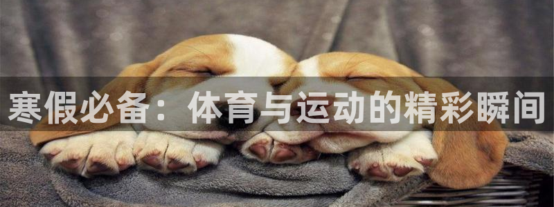 寒假必备：体育与运动的精彩瞬间